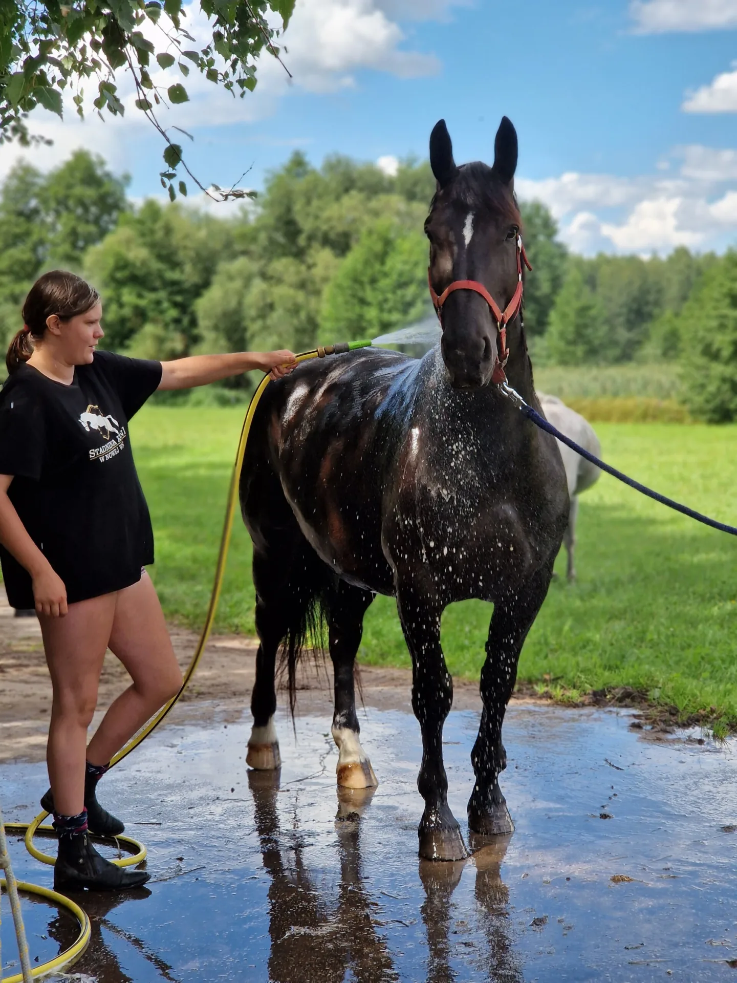 Wakacje w siodle 2026 — kolonie i półkolonie jeździeckie w Stadninie Koni w Nowej Wsi Kosowskiej (6)